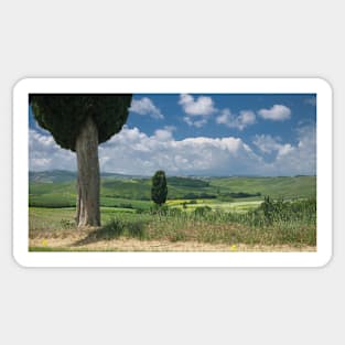 Panoramic view on Val d'Orcia, Tuscany Sticker